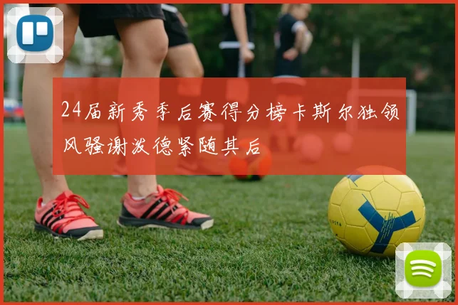 24届新秀季后赛得分榜卡斯尔独领风骚谢泼德紧随其后